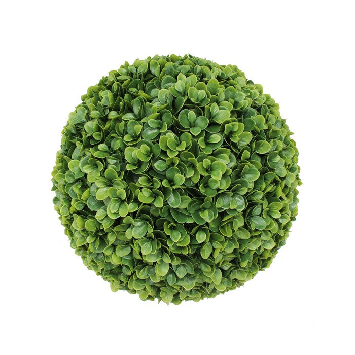 Bosso artificiale sempreverde