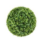 Bosso artificiale sempreverde