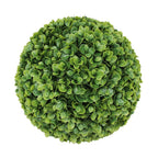 Bosso artificiale sempreverde