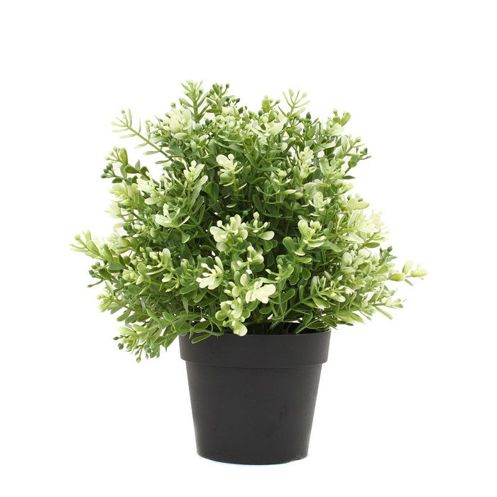 Pianta artificiale in vaso - Timo