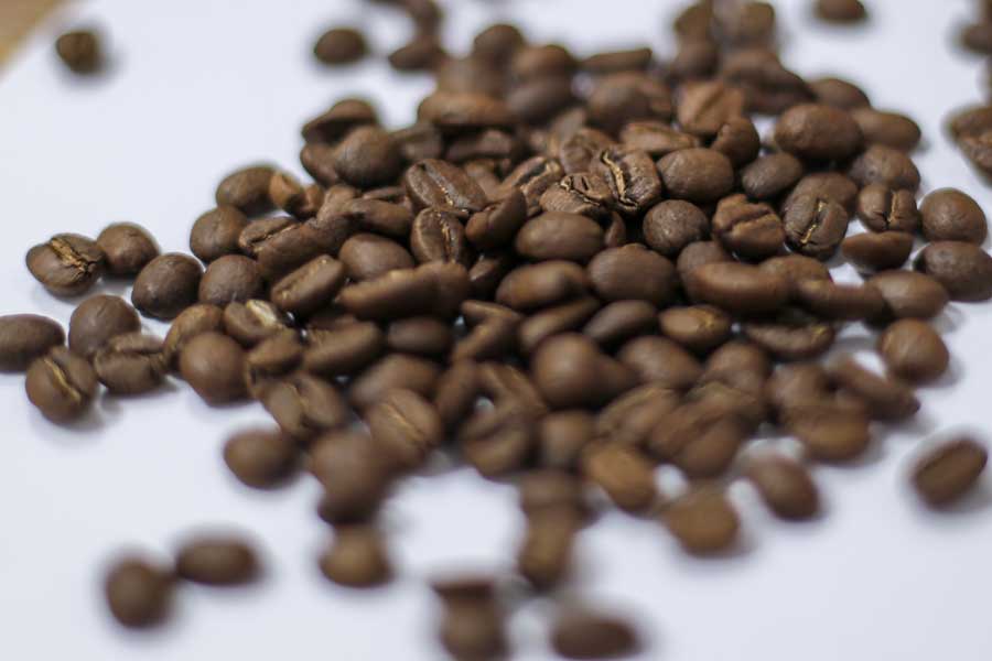 Miscela Caffè Specialty THE STEAM &CO.